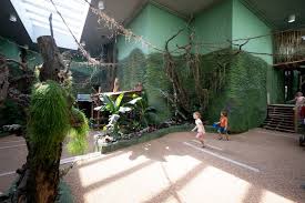 Indoor speeltuin en tropisch (dieren)park orchideeënhoeve. Planckendael Opent Expeditie Bonobo Voorbeeld Voor De Wereld Mechelen Hln Be