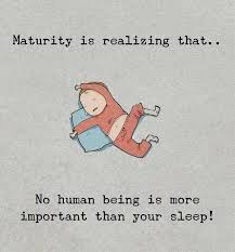 Maturity Is Realizing That No Human Being Is More Important Than Your Sleep Funny True Quotes Fun Quotes Funny Cute Funny Quotes