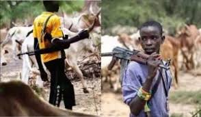 Blood flowed freely in igangan, one of the seven principal towns of ibarapa land in oyo state, on the exact number of people killed during the attack could not be immediately ascertained at the time of. Oyo Farmers Flee As Herdsmen Attack Igangan Again Gio Tv