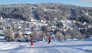 Voňavé maliny patří mezi nejlahodnější letní ovoce. Bedrichov Ceka Rada Dopravnich Uprav Vzniknou Nove Chodniky I Navigacni System Z Kraje Liberecka Drbna Zpravy Z Liberce A Libereckeho Kraje