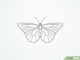 It goes along with my step by step monarch butterfly painting tutorial. How To Draw A Butterfly With Pictures Wikihow