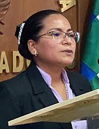 2022 Bolivian ombudsman election