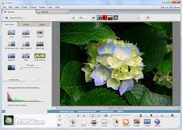 Whose function is to allow the user view and organize the pictures in his/her pc. Picasa Descargar 2021 Ultima Version