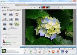 Oct 26, 2021 · picasa is a nice application designed to simplify the way you manage photos on your computer. Picasa Descargar 2021 Ultima Version