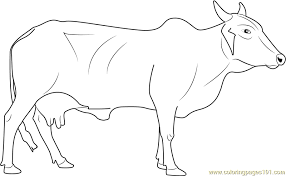 Kids can now introduce themselves to the most adorable and admirable animals from the jungle world, as coloring templates explore every nook and cranny of this amazing world. Red Sindhi Cow Coloring Page For Kids Free Cow Printable Coloring Pages Online For Kids Coloringpages101 Com Coloring Pages For Kids