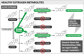 Estrogen Management Based On Genetic Testing And Iodine Dim