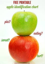 Apple Identification Chart Tart Or Sweet Cooking Or Eating