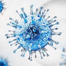 Image result for Foscarnet