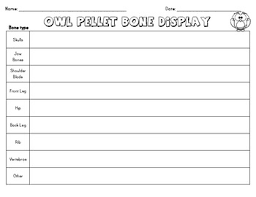 owl pellet bone display sheet by waldrop academy tpt