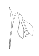 Check spelling or type a new query. Blumen Und Bluten Ausmalbilder Fur Kinder Ausmalen Malvorlagen Ausmalbilder