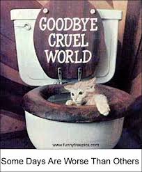 24.02.2019 · farewell goodbye grumpy cat love grumpy cat grumpy cat meme grumpy cat bed meme imgflip grumpy cat pictures with captions 18.02.2019 · goodbye cat meme gifs tenor what a cat really trying to tell you when it purrs daily mail online movie star glasses make me look. Quotes Saying Goodbye To Cat Quotesgram