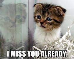 I Miss You Already Sadcat2 Meme Generator