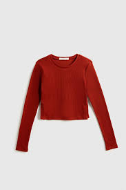 gioi-thieu-ve-ao-thun gan-tay-dai-co-tron