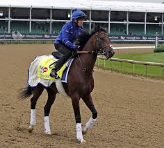 Foreign Born Horses Are Mystery At Kentucky Derby