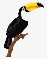 Format gambar merupakan cara standar untuk mengatur dan menyimpan file digital. Toucan Clip Art Png Burung Beo Png Free Transparent Clipart Clipartkey