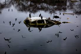 The legacy of the chernobyl disaster. How Has Fukushima S Nuclear Disaster Affected The Environment Audubon