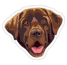 Chocolate Labrador Sticker By Michelle Phong Cute Stickers Dog Stickers Chocolate Labrador