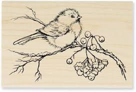 Stampendous Snow Bird Rubber Stamp P169 Vogels Tekenen Vogel Kunstwerk Kleurplaten