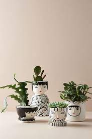 Create a free account today and start downloading live streams and videos from all of your favorite sites. 84 Plant Houseplants Pokojove Rostliny Ideas In 2021 Rostliny Pokojove Rostliny Kvetiny