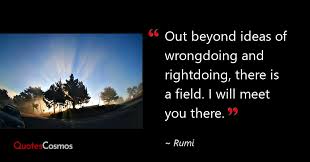 Out Beyond Ideas Of Wrongdoing And Rightdoing Rumi Quote