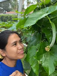 May tanim may aanihin