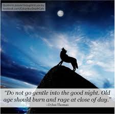 Art Rage Against The Dying Of The Light