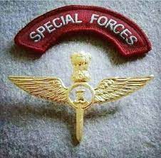 49 Para Sf Indian Army Ideas Indian Army Indian Army Special Forces Army Para commandos indian army parachute regiment podrobnee. 49 para sf indian army ideas indian