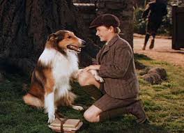 Pin On Lassie