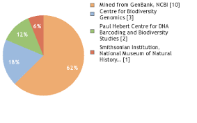 Image result for Pleurostylia africana