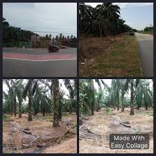 Pejabat mahkamah majistret daerah kuala selangor 45000 kuala selangor. Tanah Untuk Dijual Mukim Hujung Permatang Kuala Selangor Property Others On Carousell