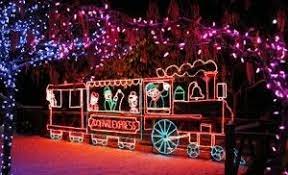 Thatwentwell Net Zoo Lights Holiday Lights Display Holiday Zoo