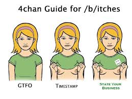Résultat de recherche d'images pour "tits or gtfo"