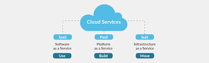 Software as a service (saas) is a relatively new software distribution model giving customers access to applications over the internet, rather than requiring a physical media and custom installation. Iaas Vs Paas Vs Saas Various Cloud Service Models Compared