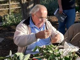 Jun 07, 2021 · salem, ore. Maybe You Can Teach An Old Dog New Tricks The Science Art Of Grafting Treemendous Blog