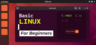 25 Basic Linux Commands For Beginners [2025] - GeeksforGeeks