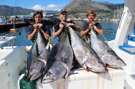 Image result for tuna fishing charter