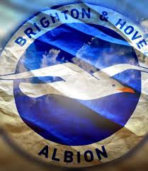 Brighton & hove albion fc players salaries 2018 (weekly wages). Brighton Hove Albion Wallpaper By Darinlouisparke80111 68 Free On Zedge