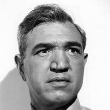 Watch Live TV, Movies, and TV Shows Free Online