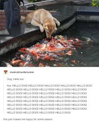 Literally Just A Bunch Of Funny Tumblr Posts About Dogs Cute Funny Animals Animal Jokes Cute Animals