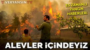 We did not find results for: Yro42lupvro9 M