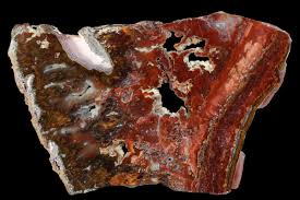 Image result for Colorado Agate 1956 Wayne Works