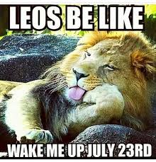 Birthday Coming Up Meme Leo Mood Comingsoon Leoseason Wethebest Birthdaybehavior Thirtyfinenine Vacationmode Lion Memes Funny Animals Leo Love