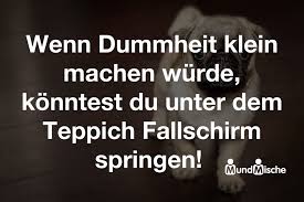 Die unterschätzte gefahr / ein teppichboden muss nicht nur seinem nutzen gerecht werden, in sehr vielen fällen sollen teppiche akzente setzen und einen psychologischen effekt haben. Wenn Dummheit Klein Machen Wurde Konntest Du Unter Mundmische De