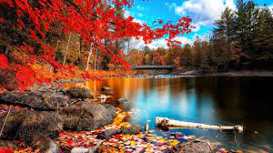 Welcome Fall Autumn Autumnequinox Nature Desktop Autumn Scenery Hd Nature Wallpapers