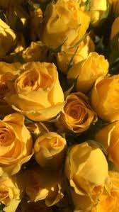 Http Www Youtube Com C Gazminegriffin Yellow Aesthetic Yellow Yellow Theme