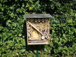 Hotel A Insectes Boutures De Reves Le Jardin De Sophie Hotel A Insectes Insectes Hotel