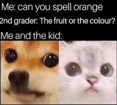 Check out ginger's spelling book and learn how to spell orange correctly, its definition and how to use it in a sentence! Fruit Or The Color 9gag