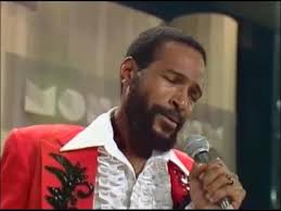 Watching Mount Joy at High-water Festival 2025… my heart melts for this…  this band… this love