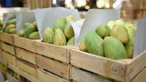 * percent daily values are based on a 2000 calorie diet. Pakistan S Mango Diplomacy Finds No Takers In Us China World News Hindustan Times