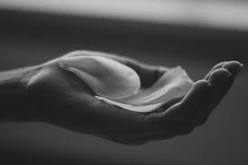 Image result for black and white hand